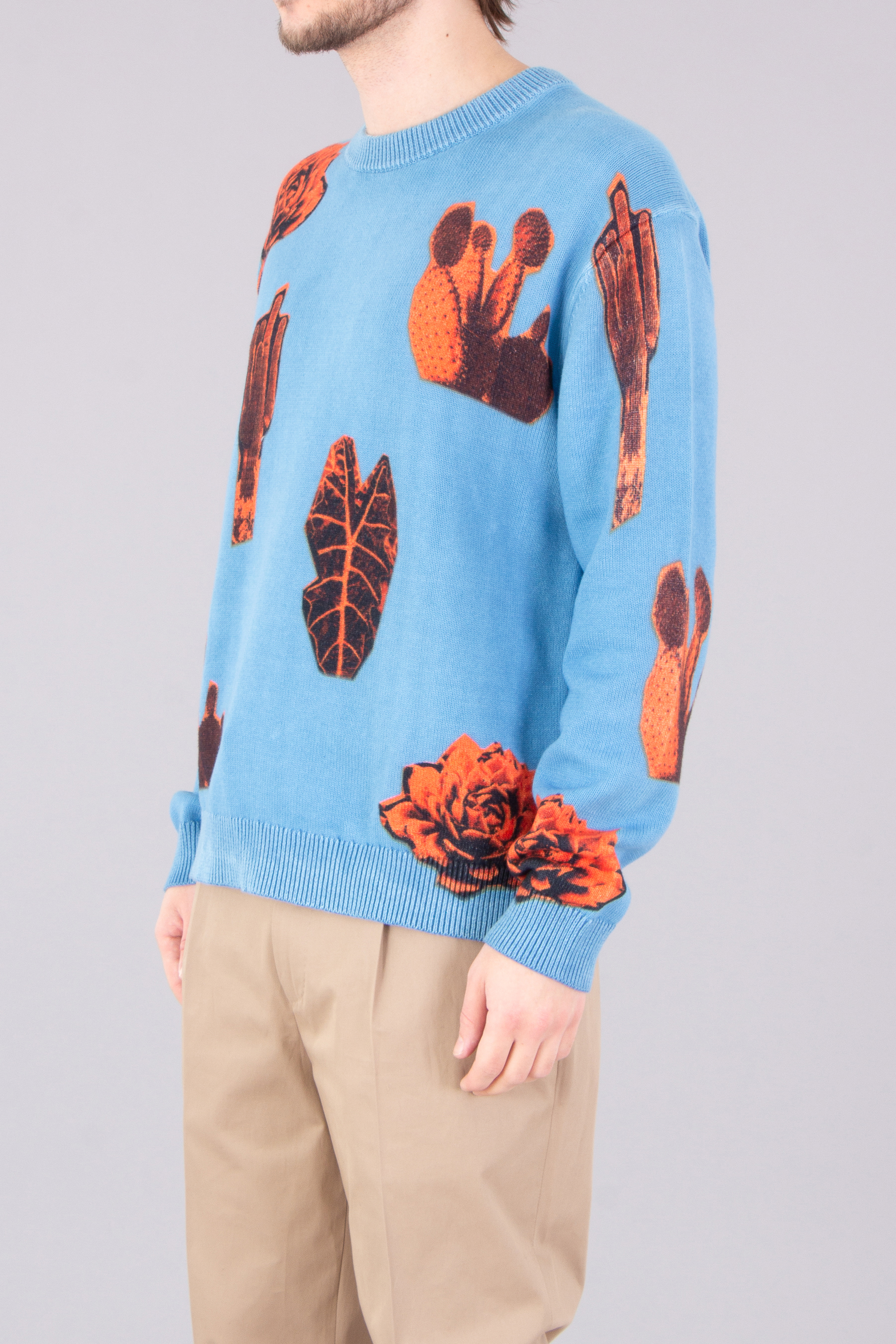 PAUL SMITH 'Photographic Cactus' Print Organically Grown Cotton Sweater