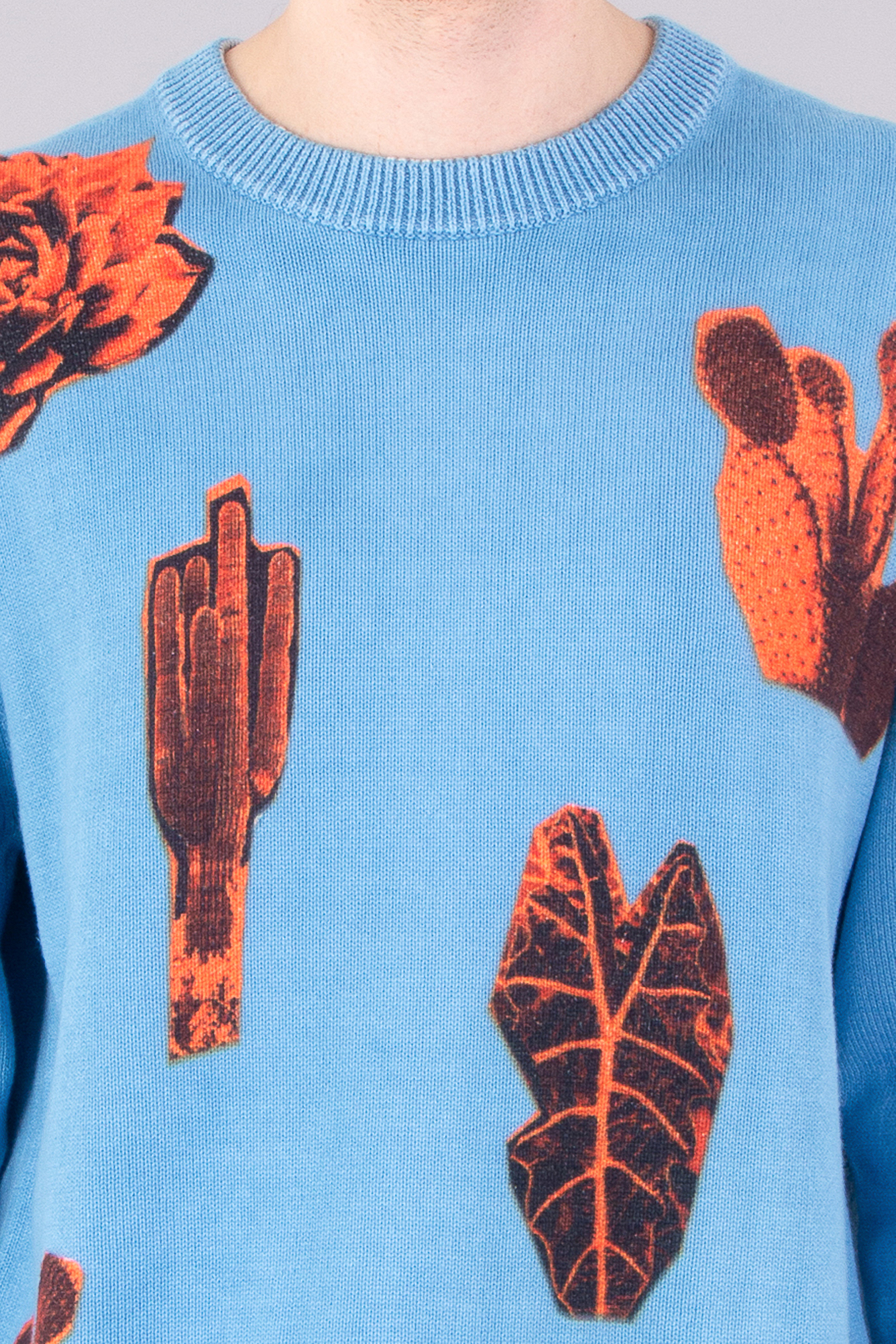 PAUL SMITH 'Photographic Cactus' Print Organically Grown Cotton Sweater