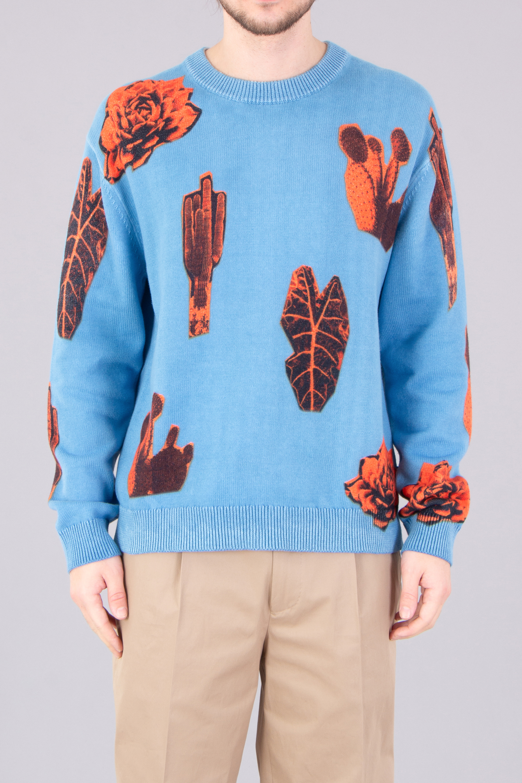 PAUL SMITH 'Photographic Cactus' Print Organically Grown Cotton Sweater