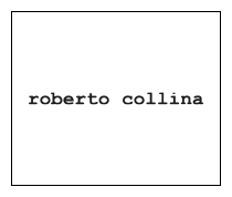 ROBERTO COLLINA