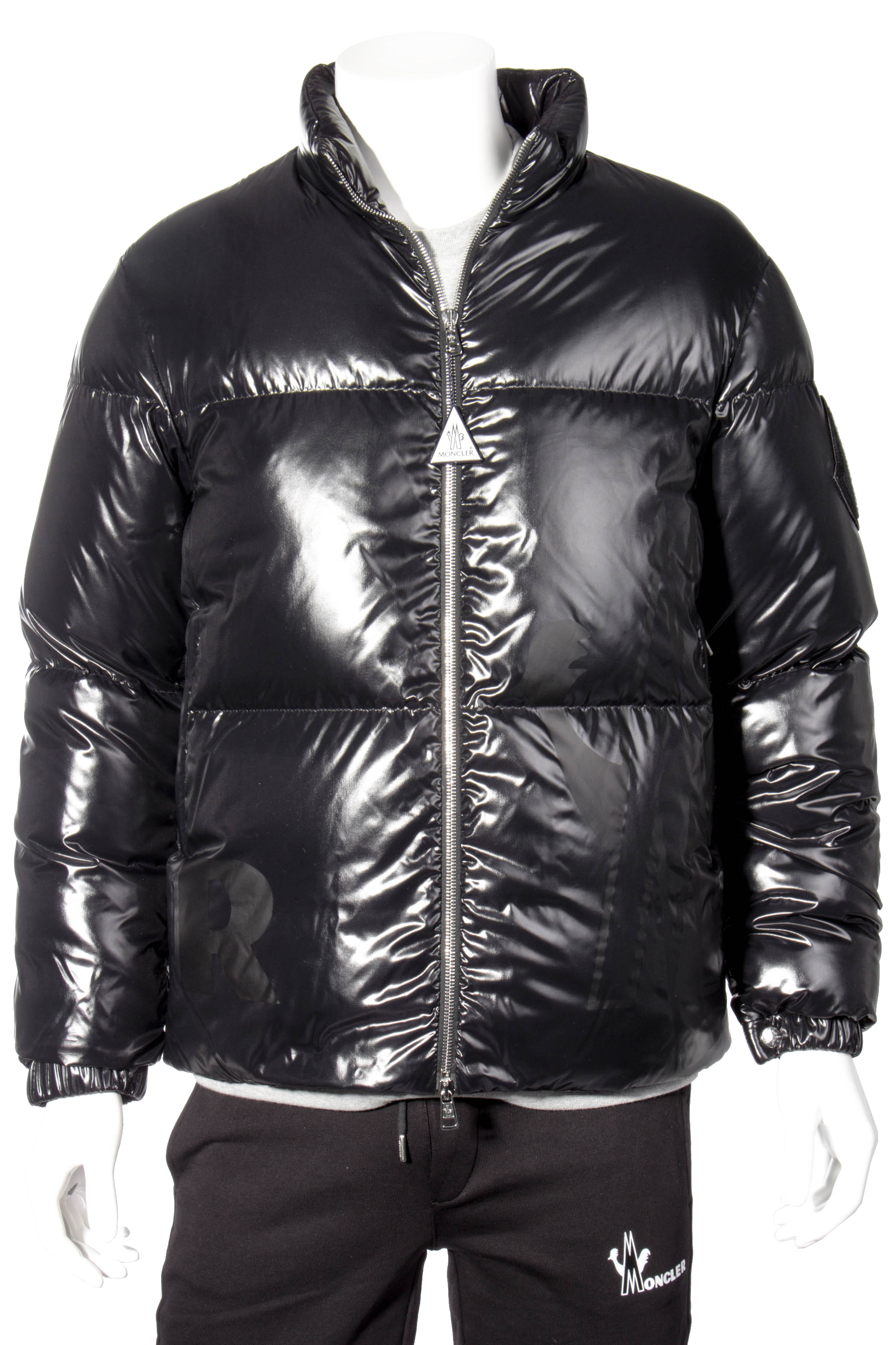 friesian moncler